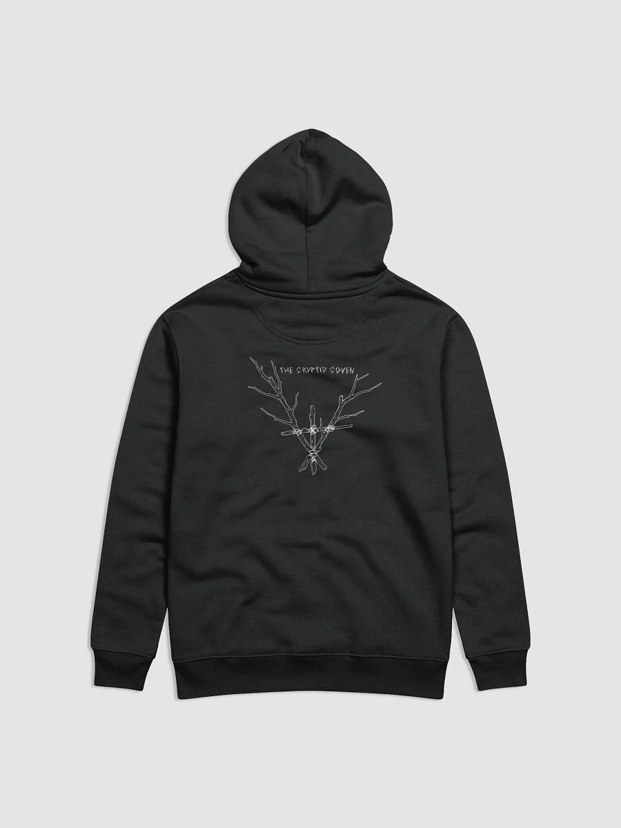 Blood Sigil Eco Hoodie product image (2)