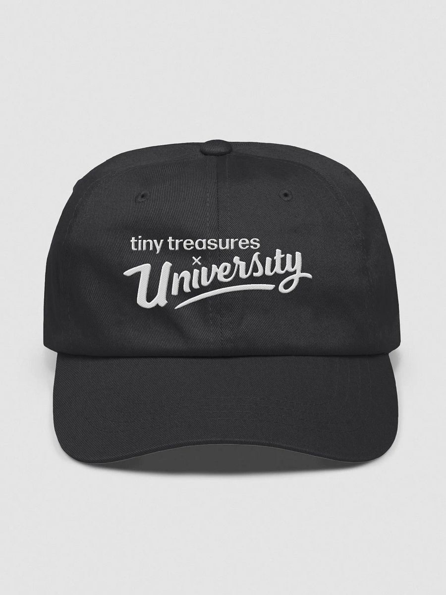 University Hat product image (1)