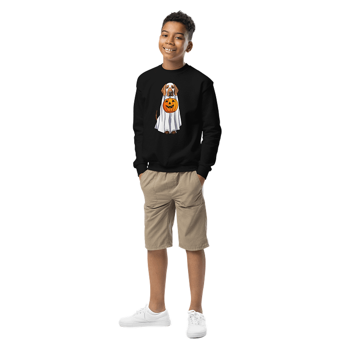 Halloween Redbone Coonhound Youth Sweatshirt product image (1)