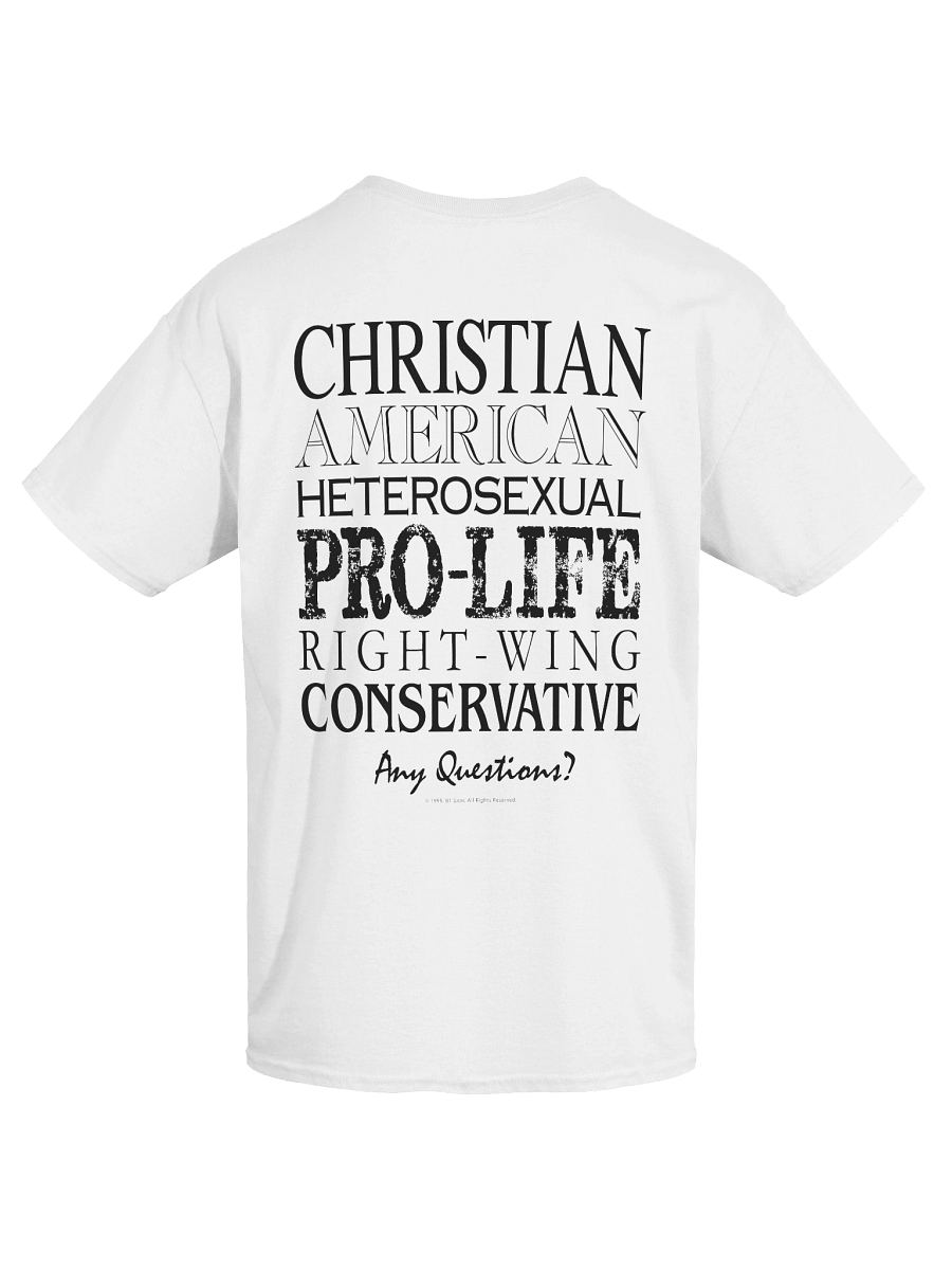 The Classic 101 T-Shirt, Patriotic Conservative Christian T-Shirt, Pro Life Right Wing Shirt, Heterosexual, American Pride Tee, Men & Women, Black Print product image (3)
