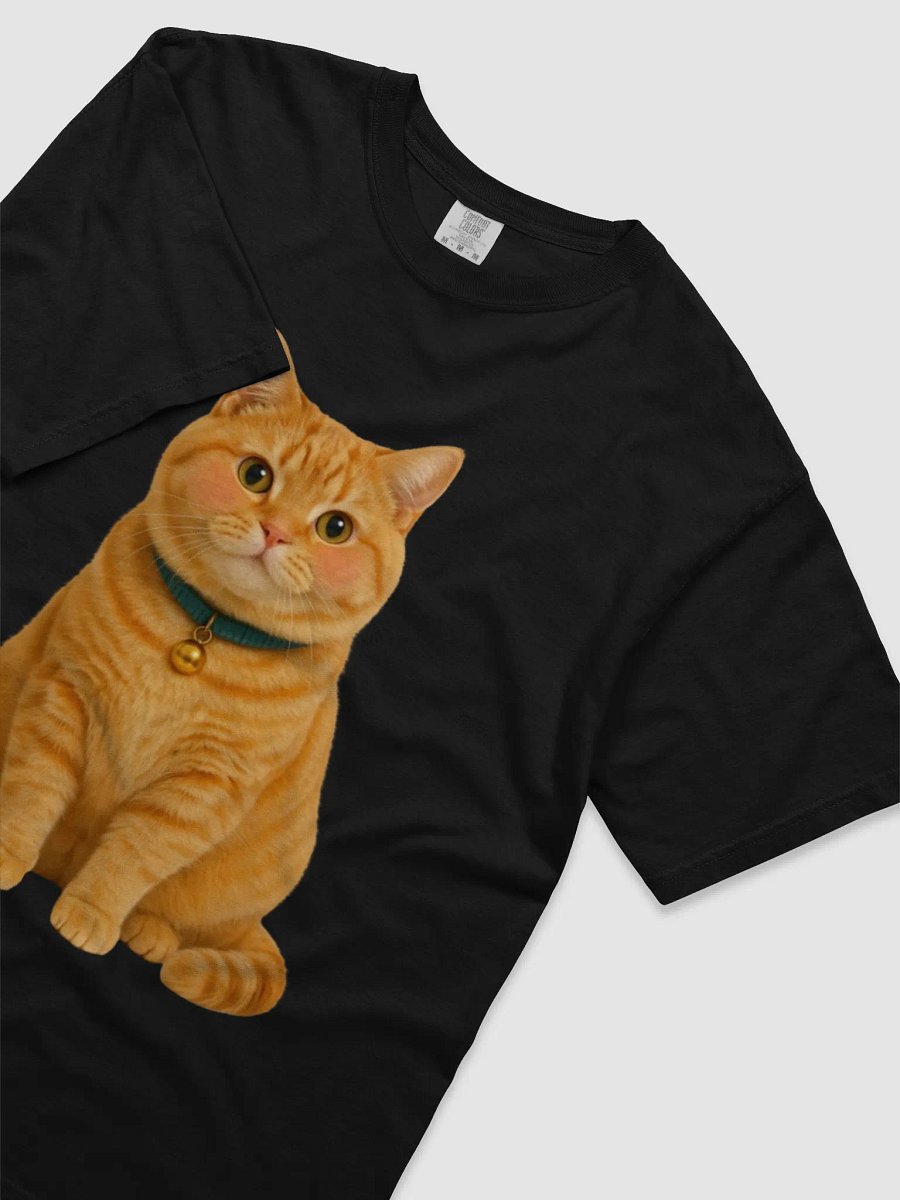 orange cat product image (3)