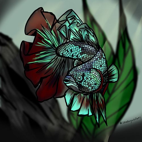 #digitalart #digitaldrawing #nature #pets #bettasplenden #bettasplendenart #halfmoonbetta #dragonscalebetta #art #creativity