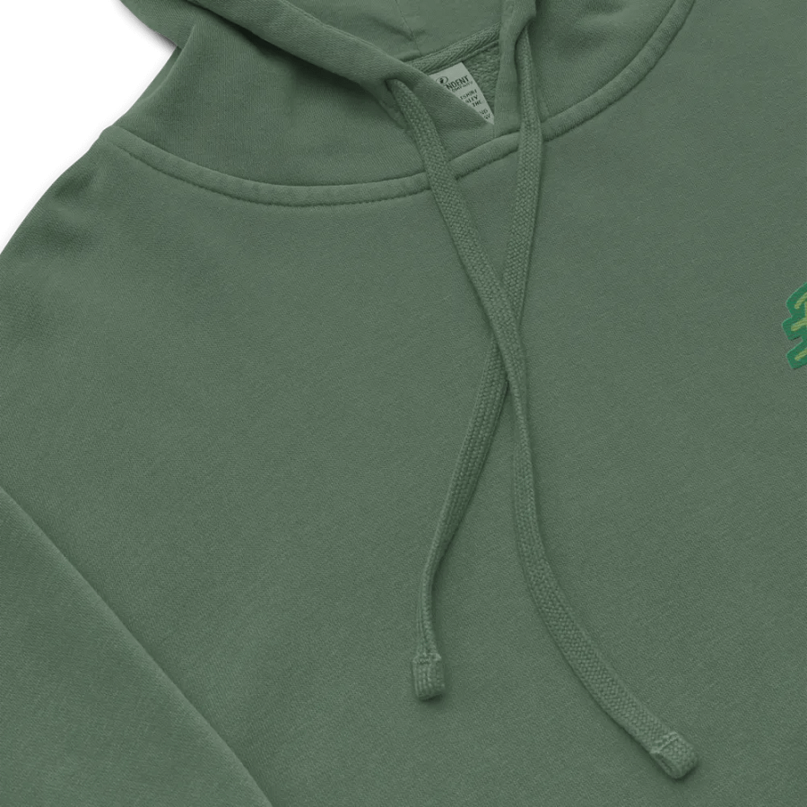 Bubbly and a B*tch (L.C. moss design) embroidered pigment-dyed hoodie product image (19)