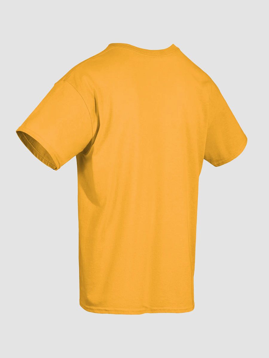 Alpha Delta Gamma Class of 2025 T-Shirt product image (22)