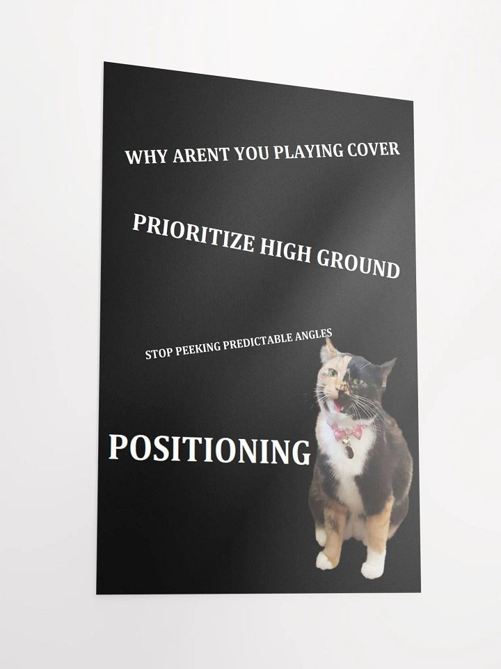 Tips from Coach Lyra Poster product image (4)