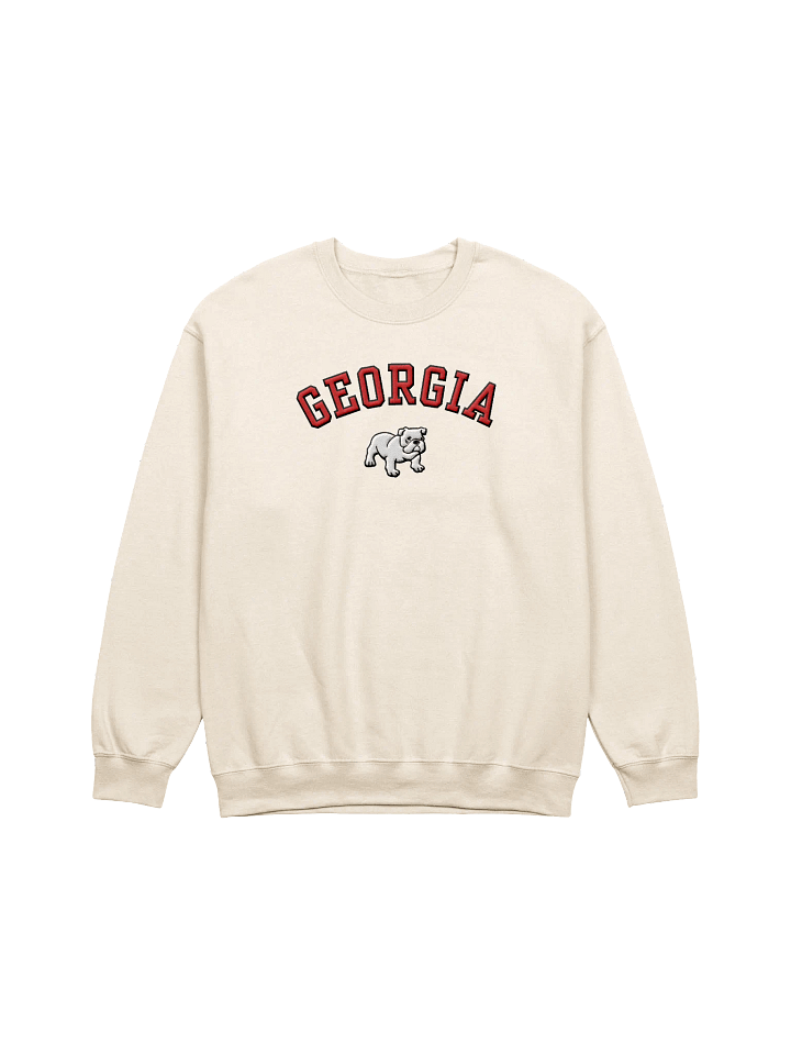 Embroidered Georgia Sweatshirt product image (5)