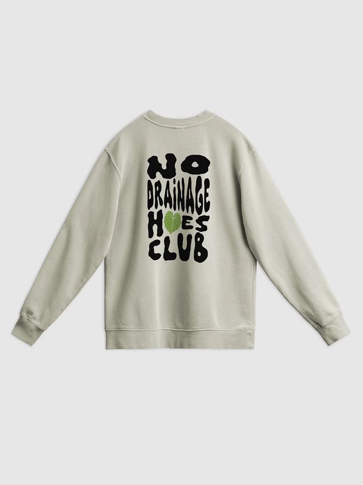 No Drainage Hoes Unisex Midweight Pigment Dyed Crewneck (multiple colours) product image (2)