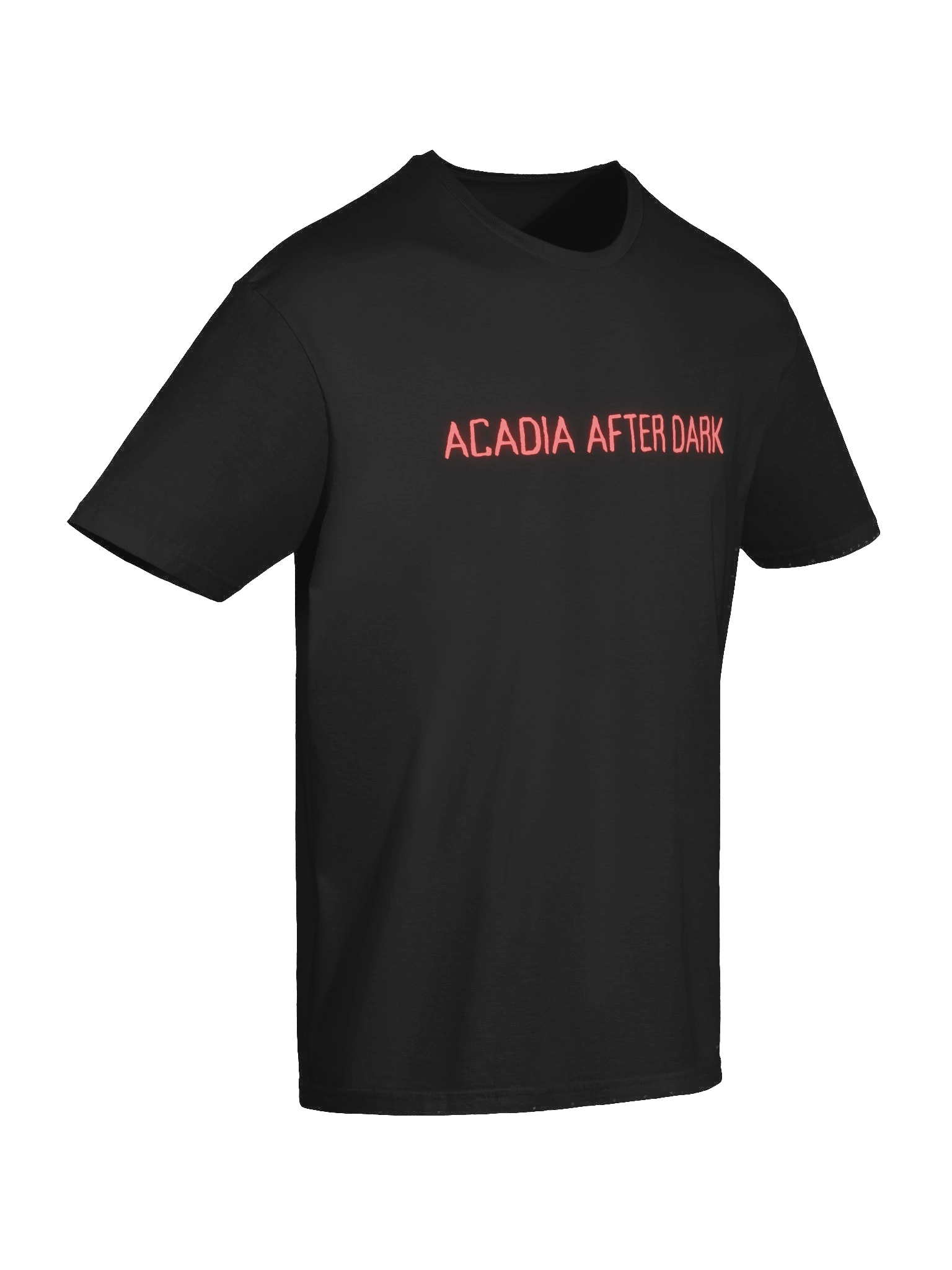 Acadia After Dark Neon Logo T-Shirt product image (19)