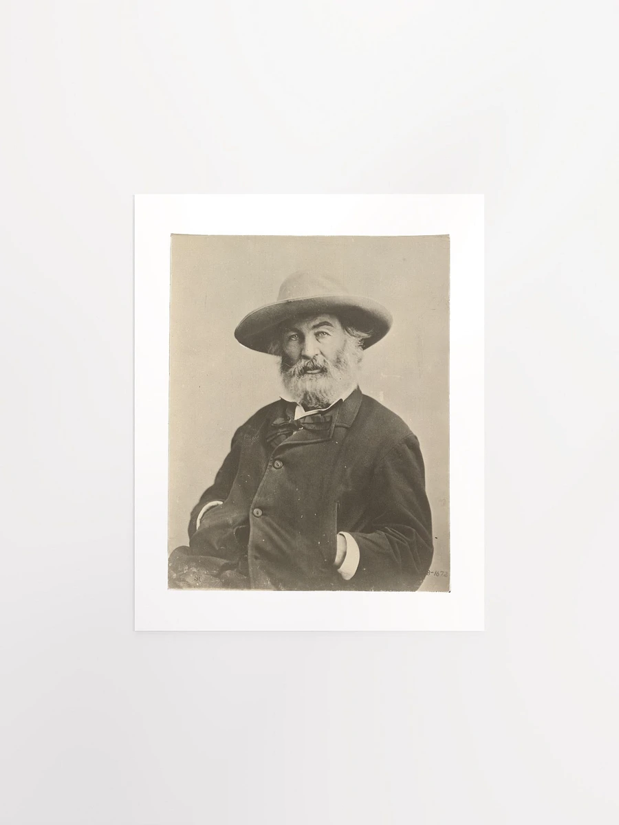 Walt Whitman By Mathew Brady? (c. 1870) - Print product image (1)