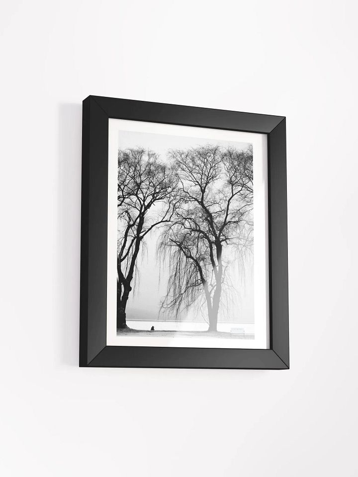 SOLACE IN THE MIST product image (30)