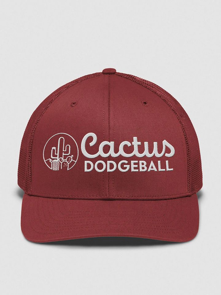 Cactus Dodgeball 