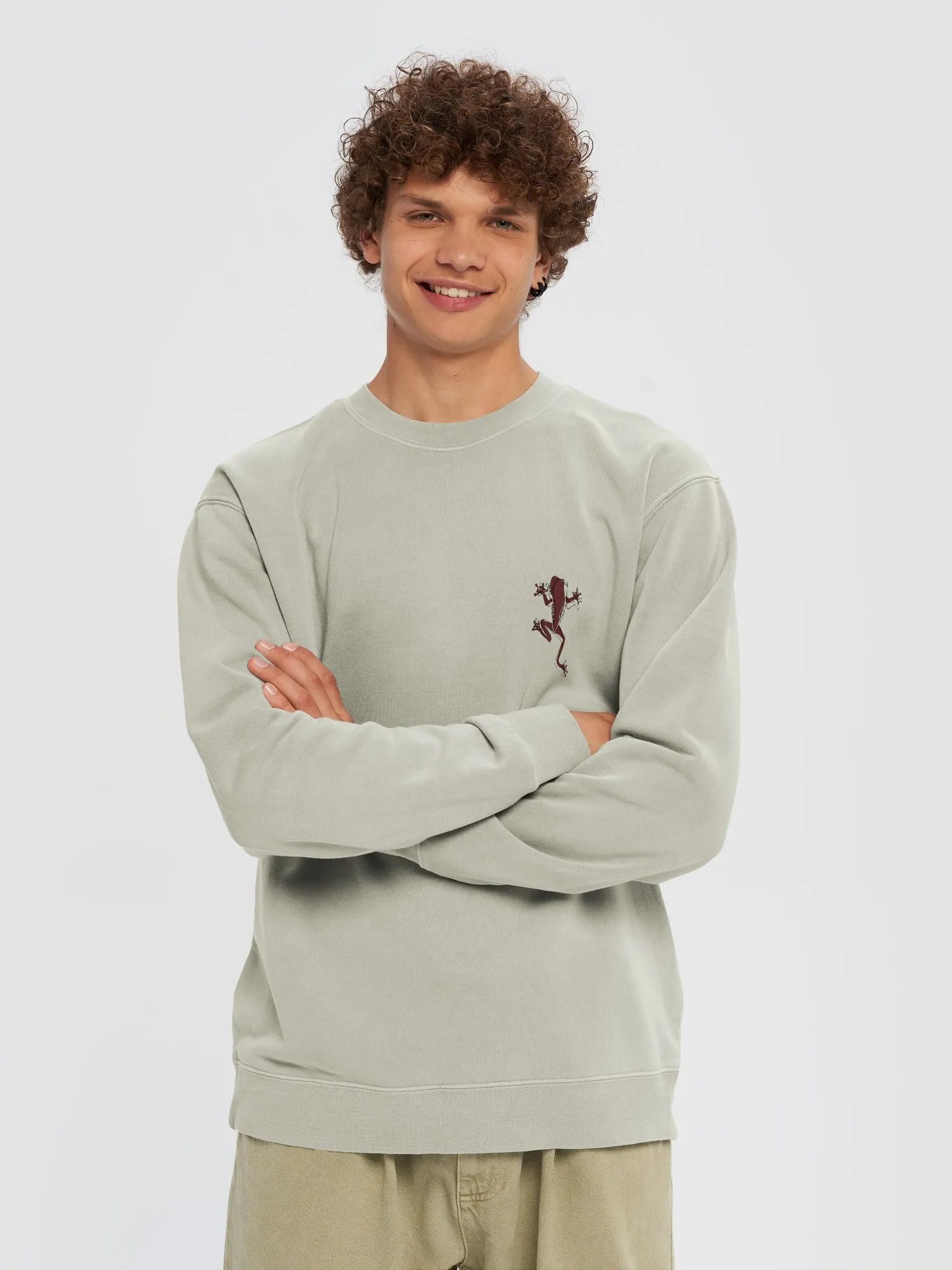 Inspirational frog crewneck product image (13)