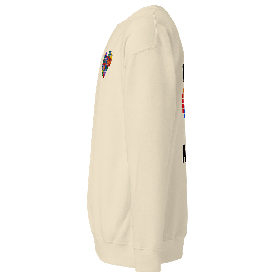 Gamer Pride Embroidered Sweatshirt product image (38)
