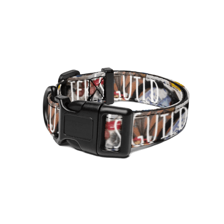Caster's Guild Pet Collar product image (1)