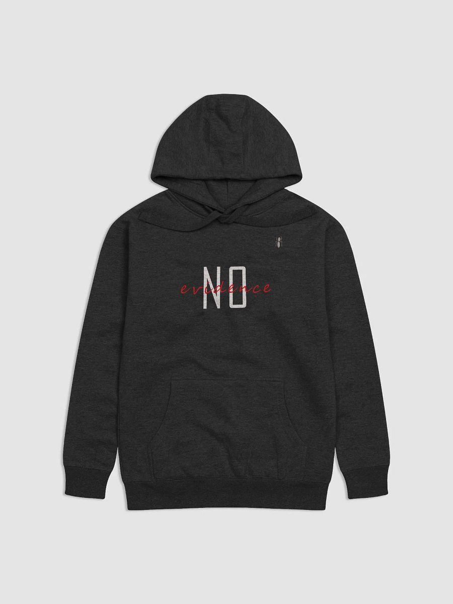 No Evidence Hoodie product image (1)
