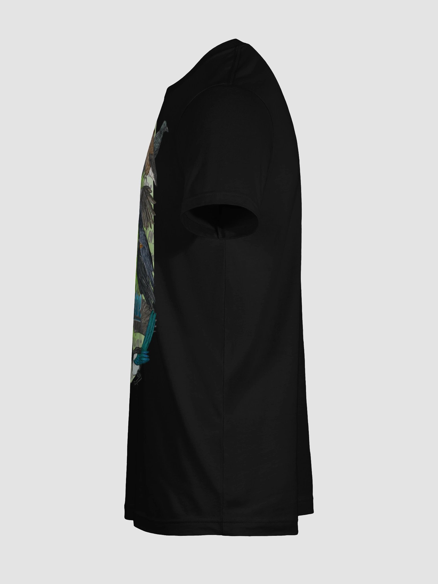 Cuervos de España (Corvidae) product image (11)