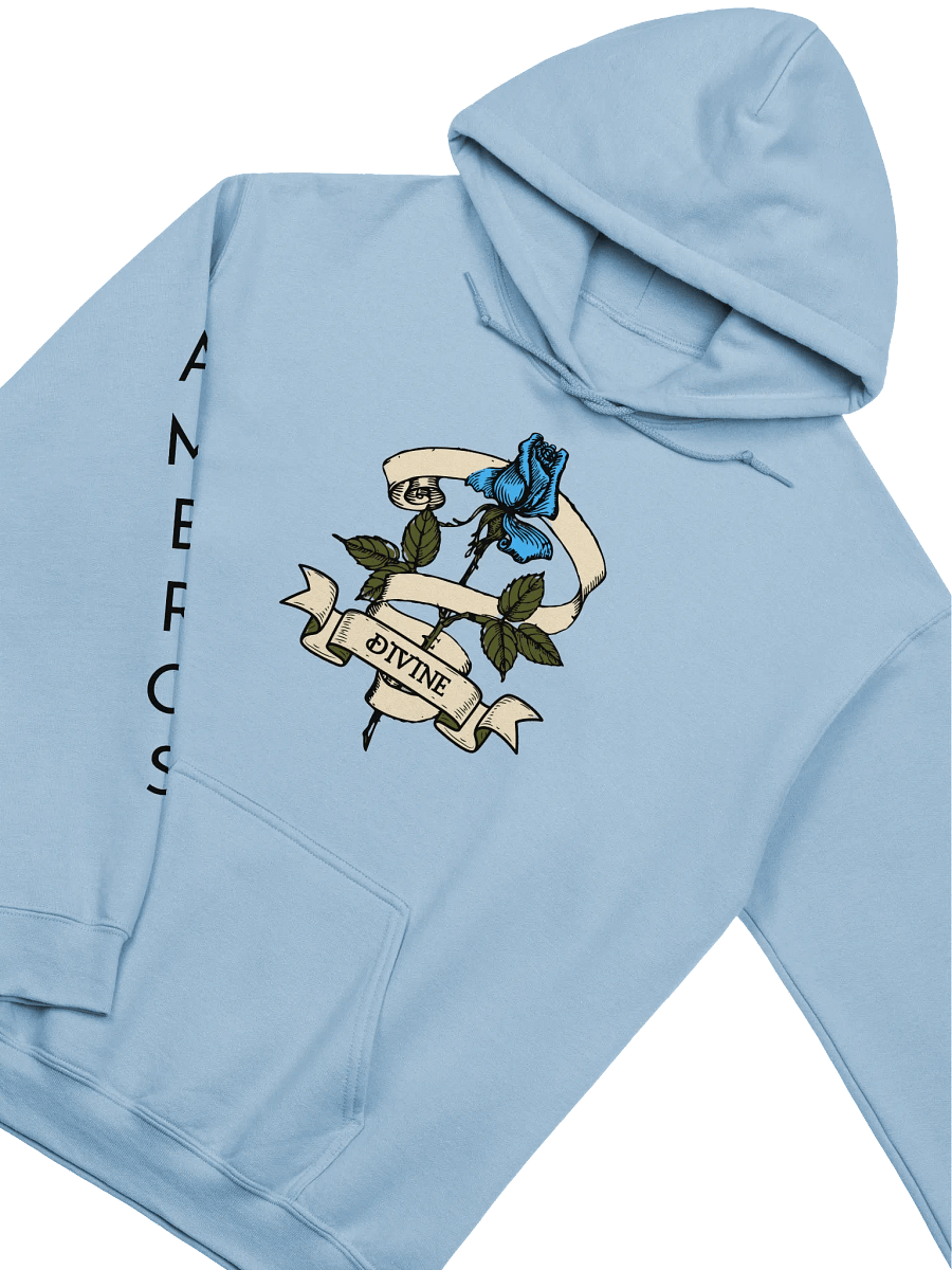 The Divine Hoodie product image (4)