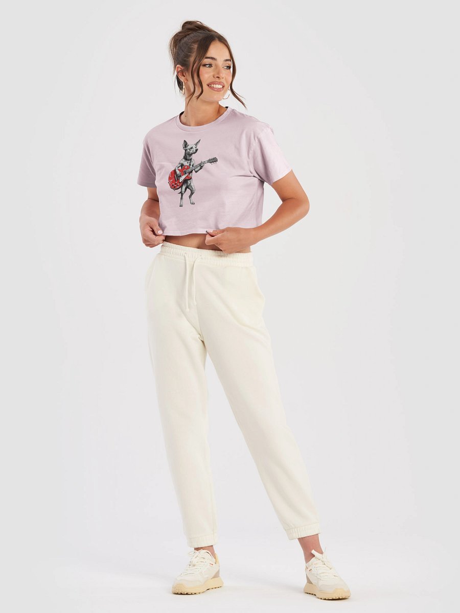 Vintage Rockstar Potcake BabyTee Crop Top product image (33)