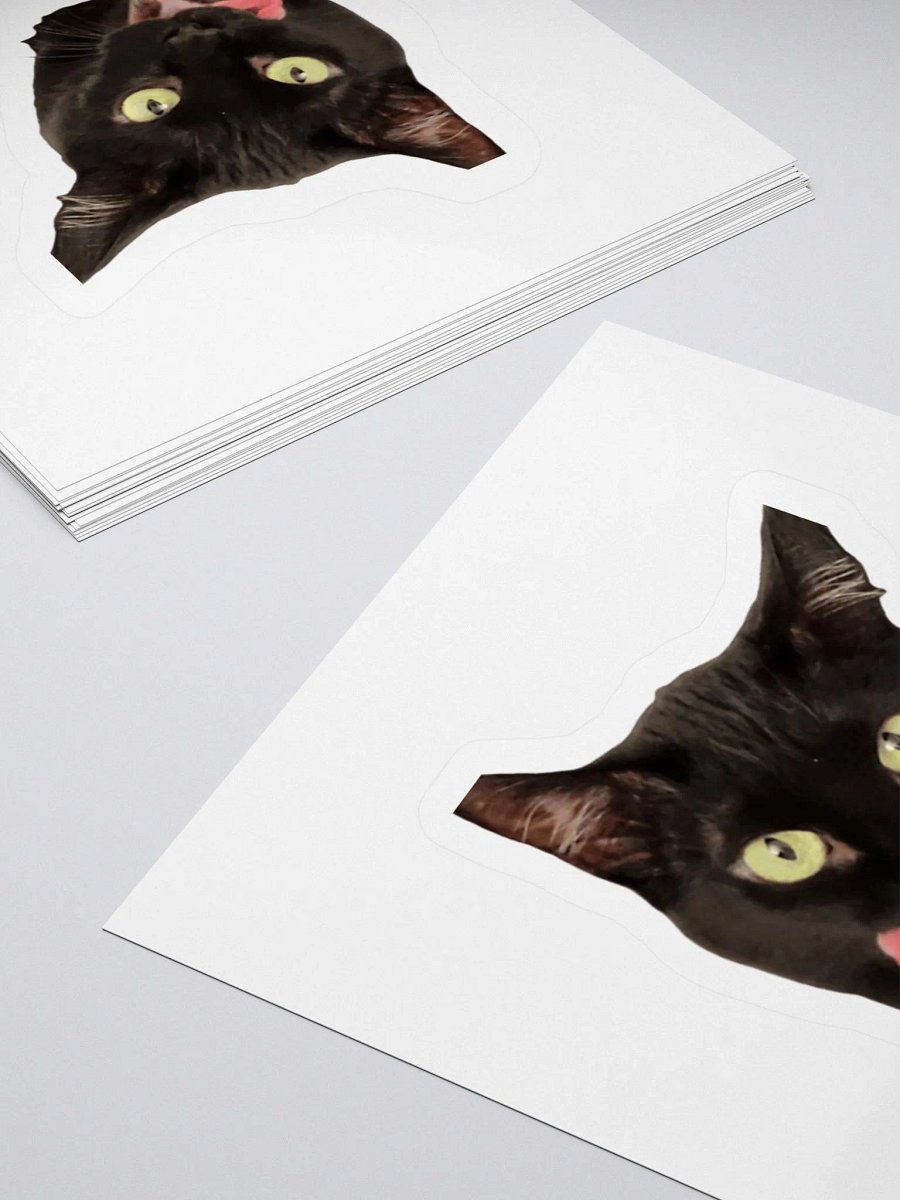 Raven Sticker product image (4)
