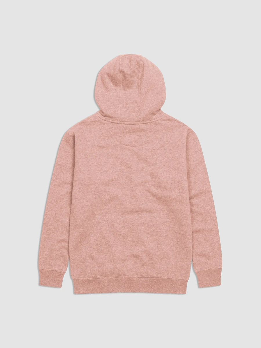 Big Aquarius Energy Hoodie product image (2)
