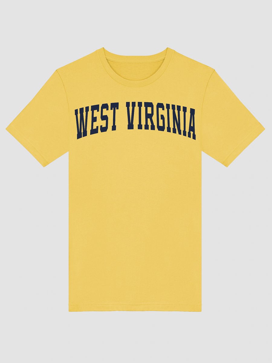 West Virginia Vintage Stylish Supersoft Unisex T-Shirt product image (5)