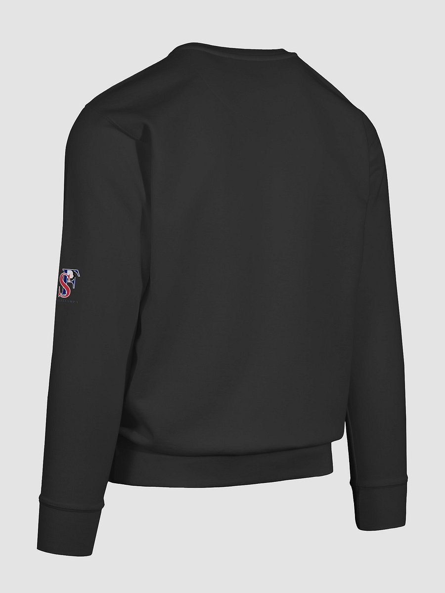 Monday Mood Funny coffee Premium Sweatshirt product image (68)