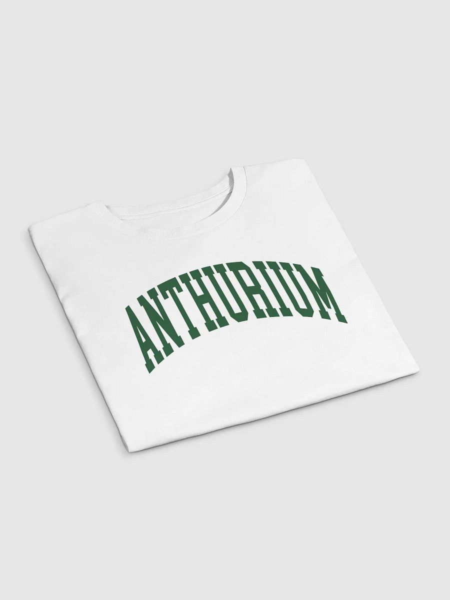 ANTHURIUM varsity crop top product image (11)