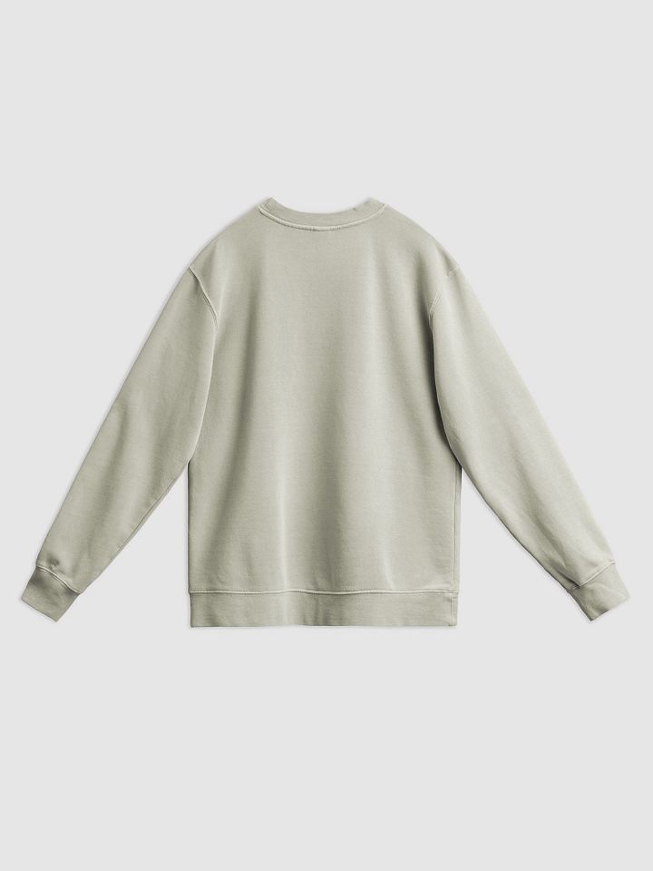 *not* mentally linear (sm. lined design, #709AAF) printed pigment crewneck product image (8)