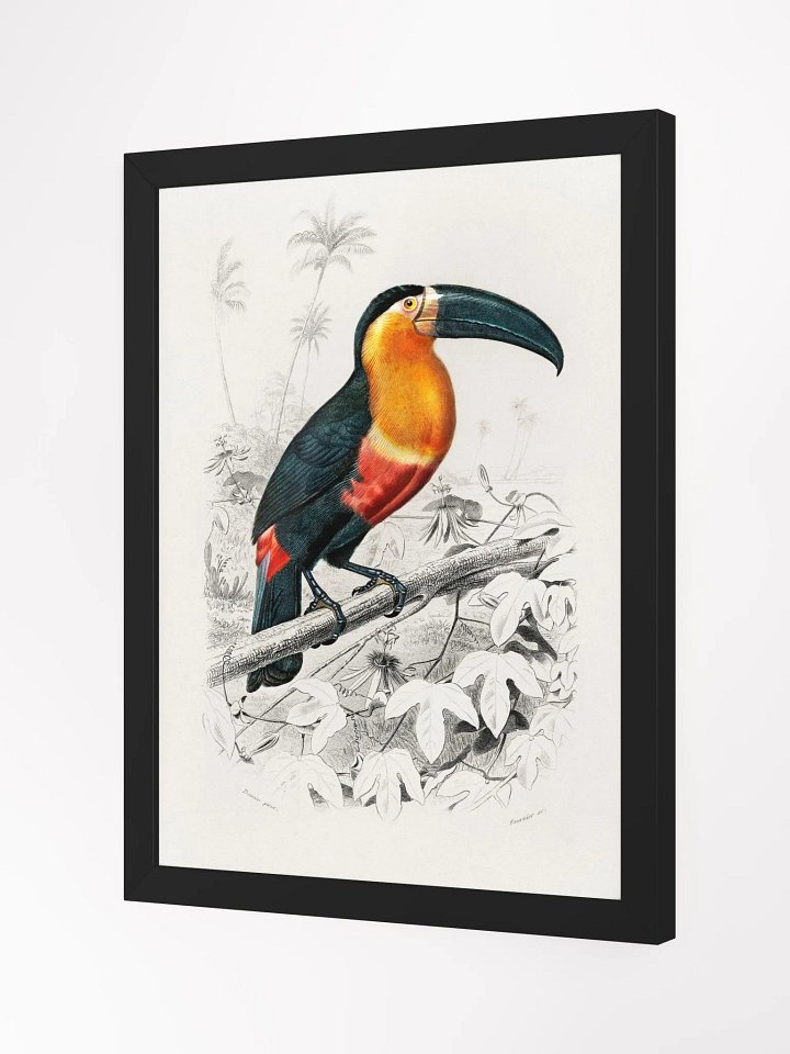 Toucan product image (10)