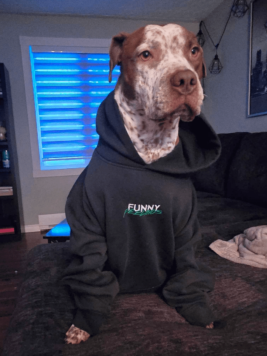 Embroidered Logo Hoodie (AS Colour) product image (9)