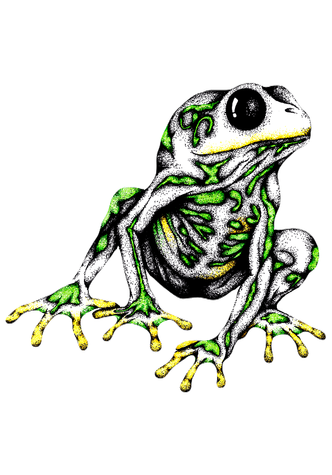Surreal Designs