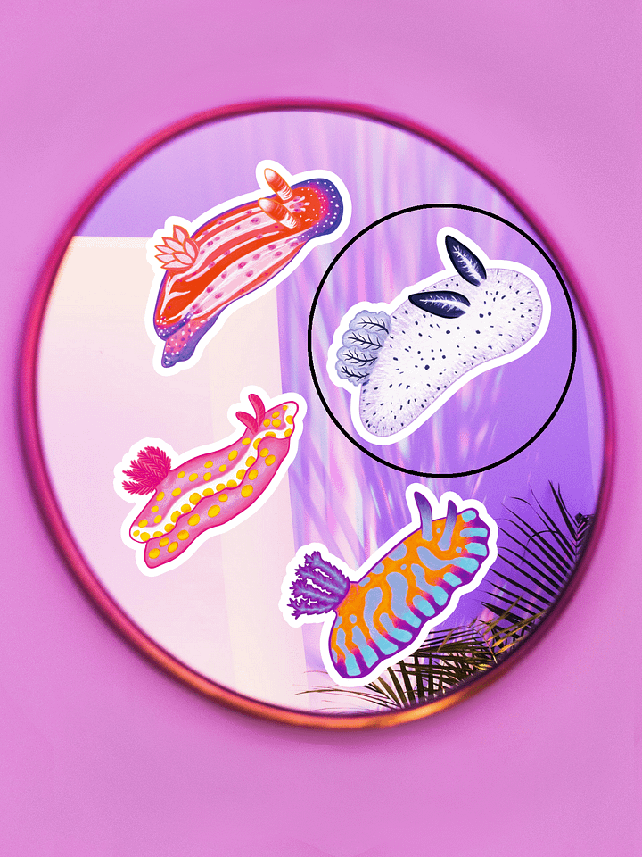 Sea Slugs: Set 1, Jorunna Parva - Magnet product image (2)