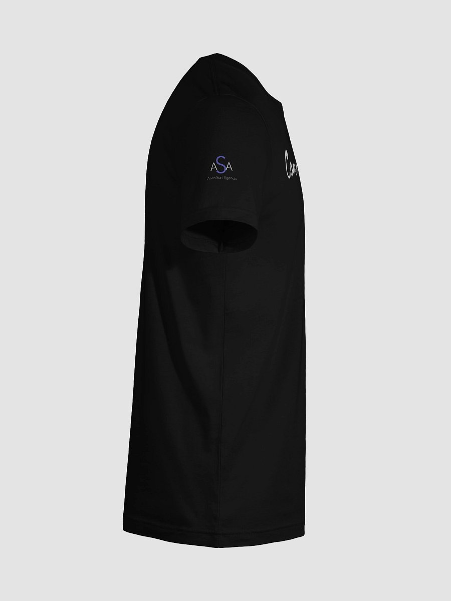 Comma Sutra (Black/Ladies) Tee product image (46)