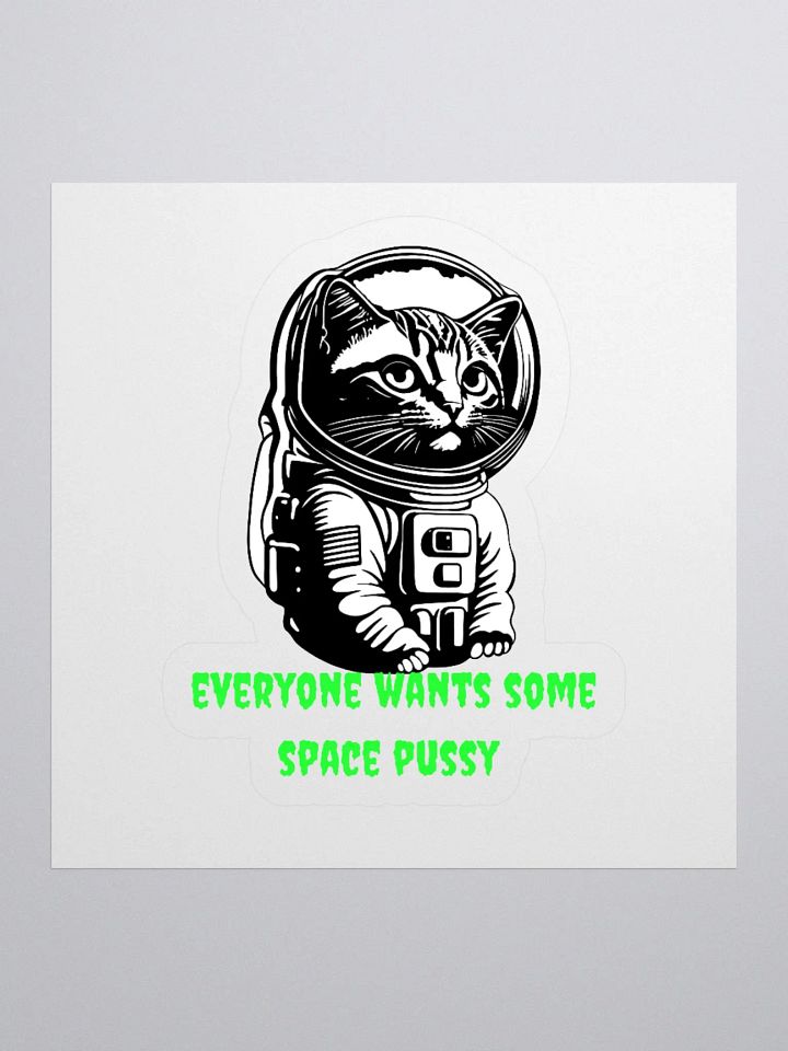 SPACE PUSSY STICKER product image (1)