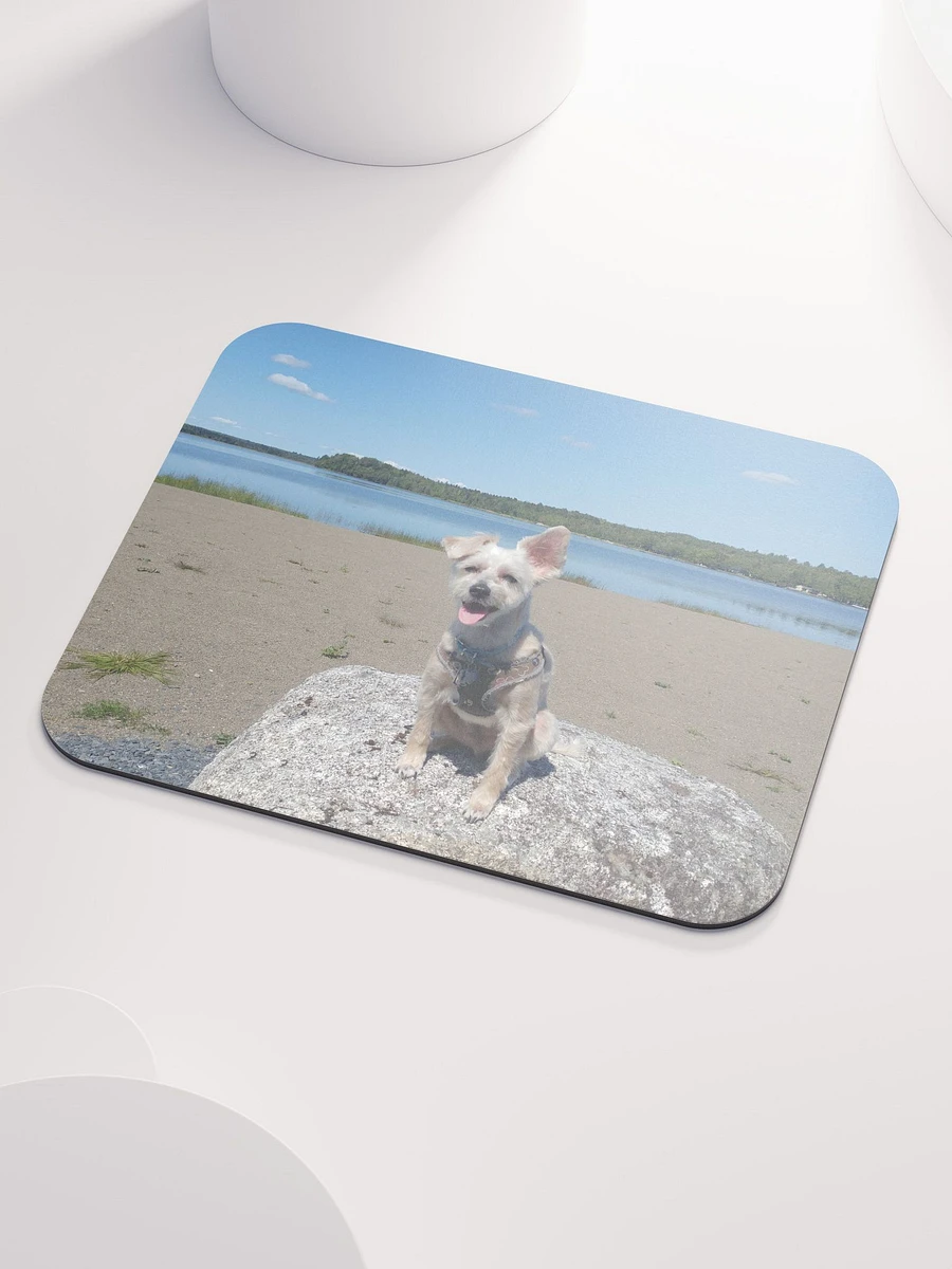 Mozzie At The Lake Mouse Pad product image (3)