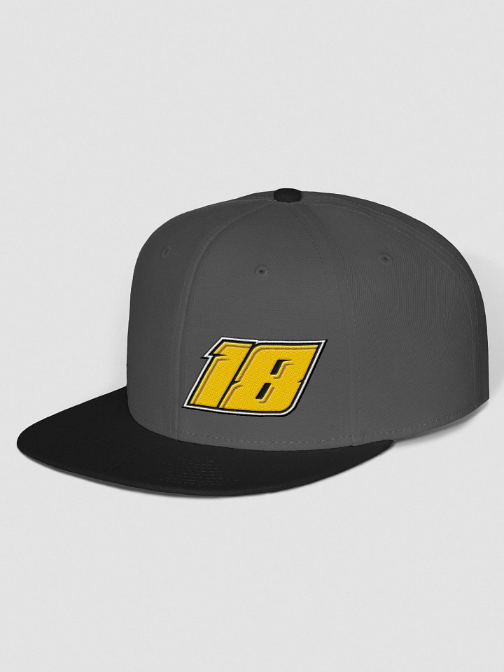 18 SnapBack Hat product image (2)