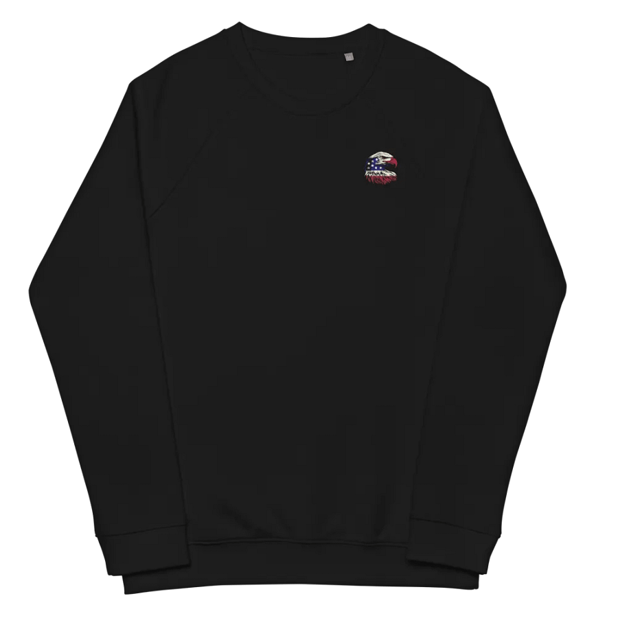 Home of the Brave, Land of the Free PositivePatriots™ Sweatshirt product image (5)