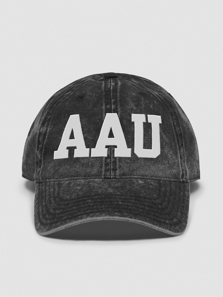 AAU Vintage Dad Hat product image (3)
