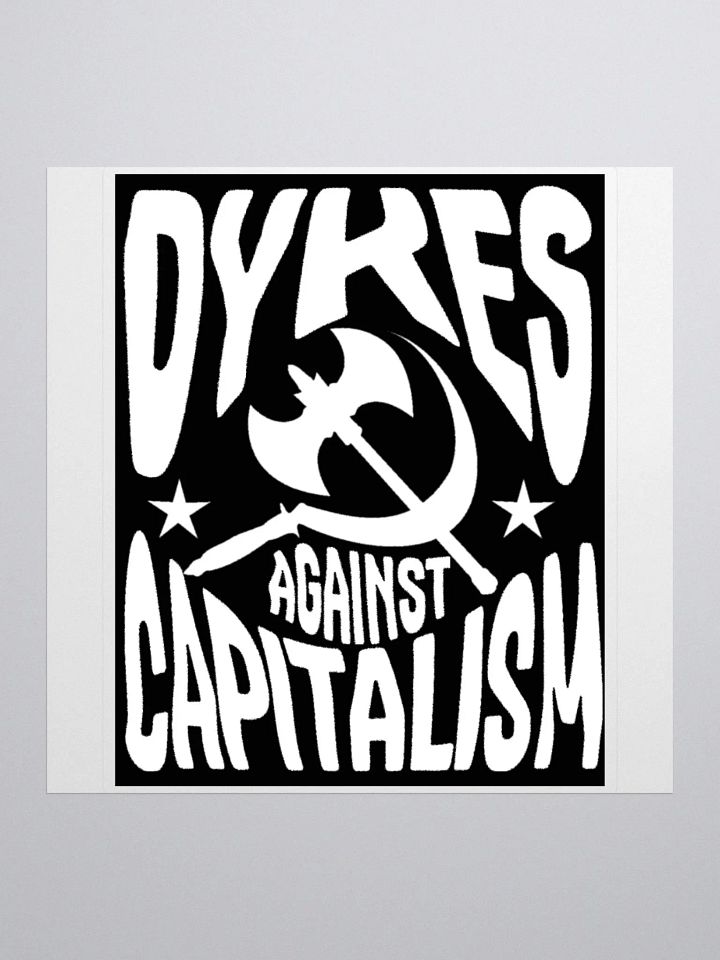 D**** AGAINST CAPITALISM product image (2)