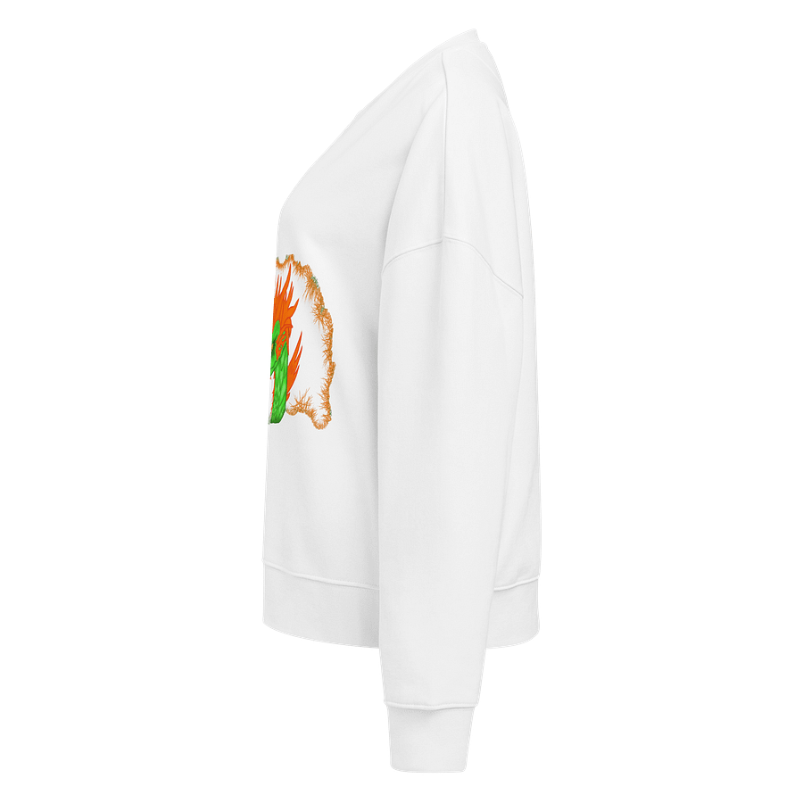 Dragon's Blaze Organic Sweatshirt product image (3)