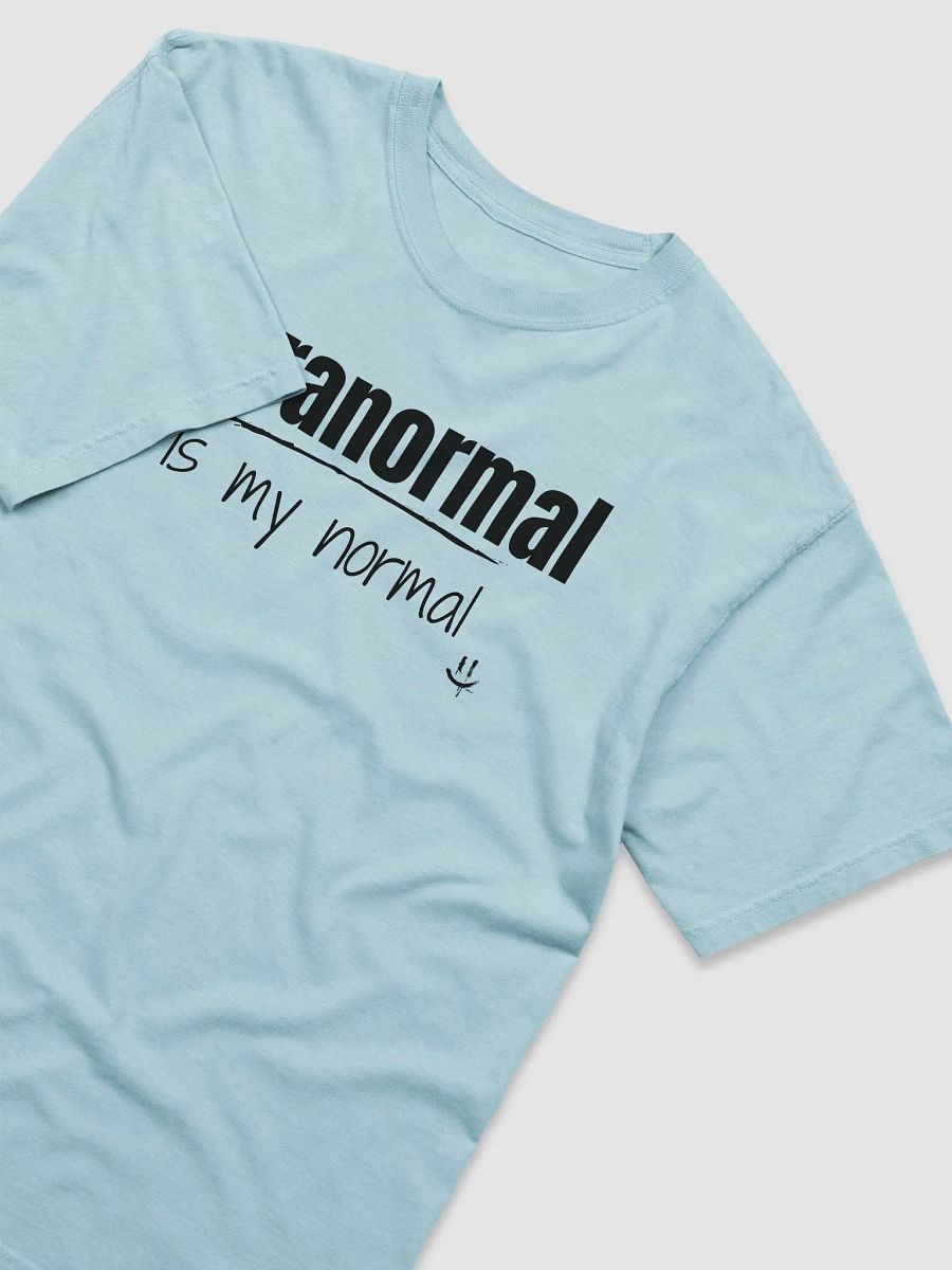 Paranormal is my Normal - Comfort Colors Tee product image (3)