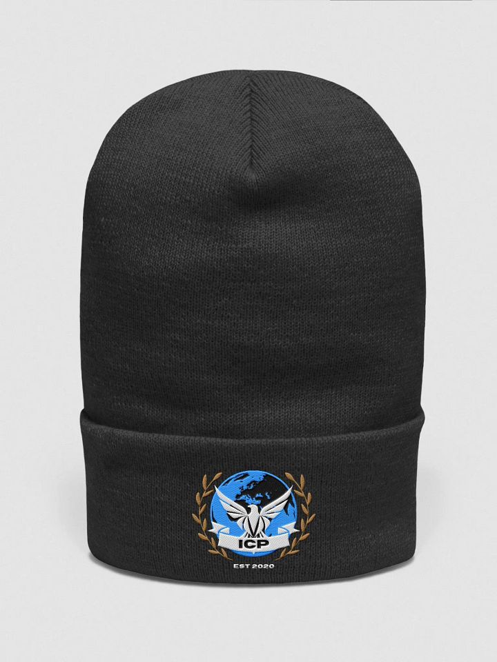 ICP Beanie product image (1)