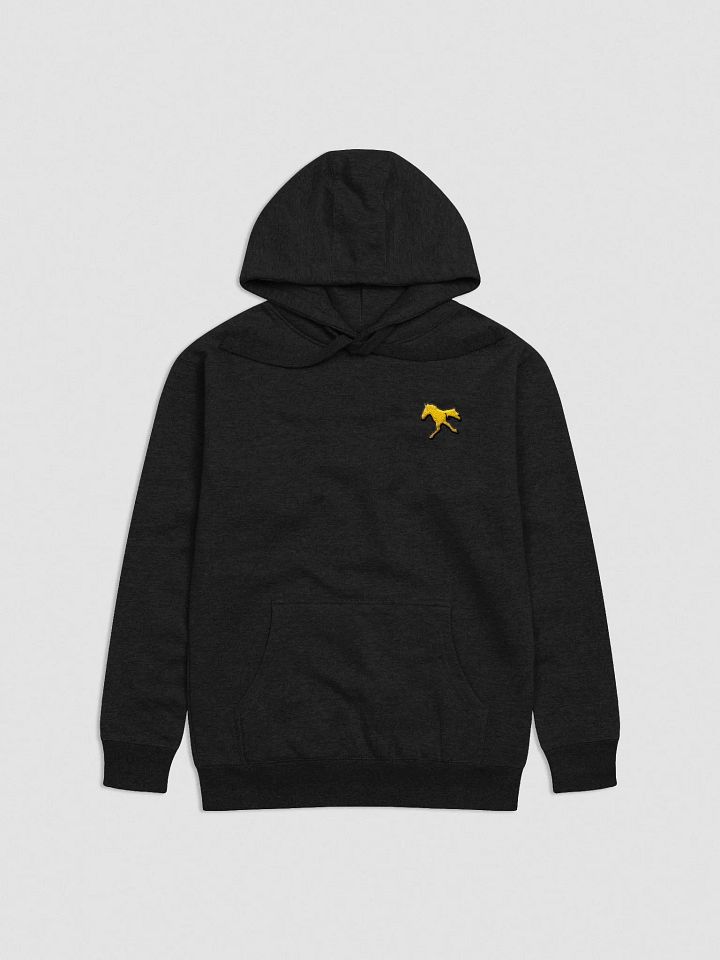The Horse Run Monthly - Embroidered Hoodie product image (1)