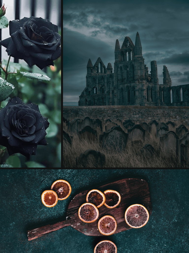Bloodletting product image (4)