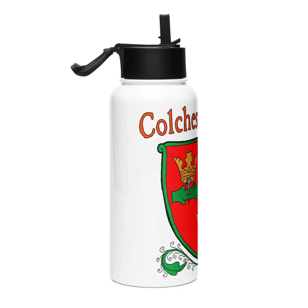 Stainless Steel Water Bottle with a Straw Lid product image (4)