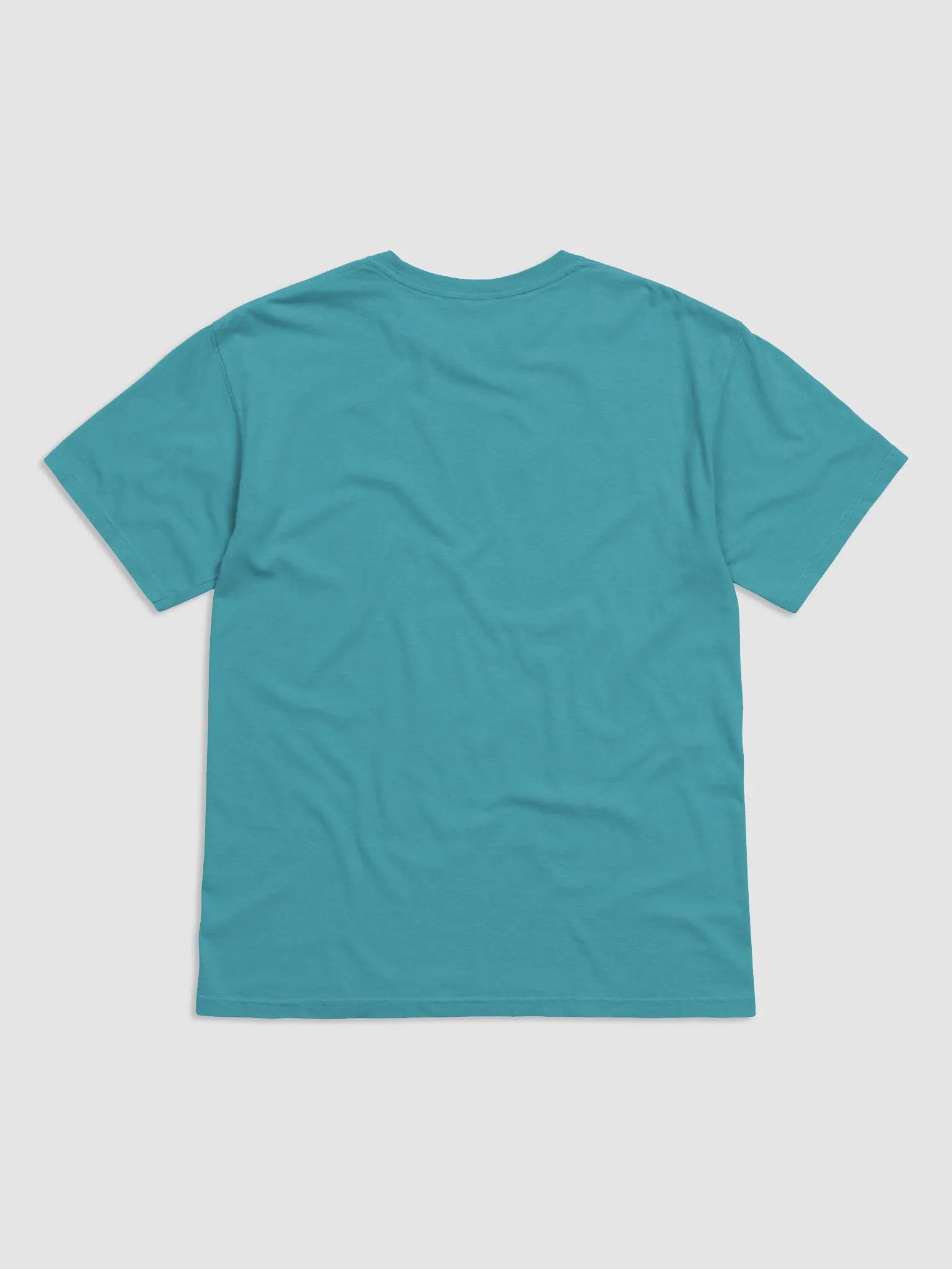 BIRDCHASER Tee product image (42)