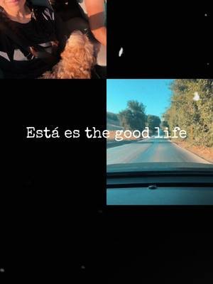 It took moving to the other side of the state for me to find my people. But I found them. 💛 #millenialsoftiktok #dogparents #ourdogsarespoiled 
