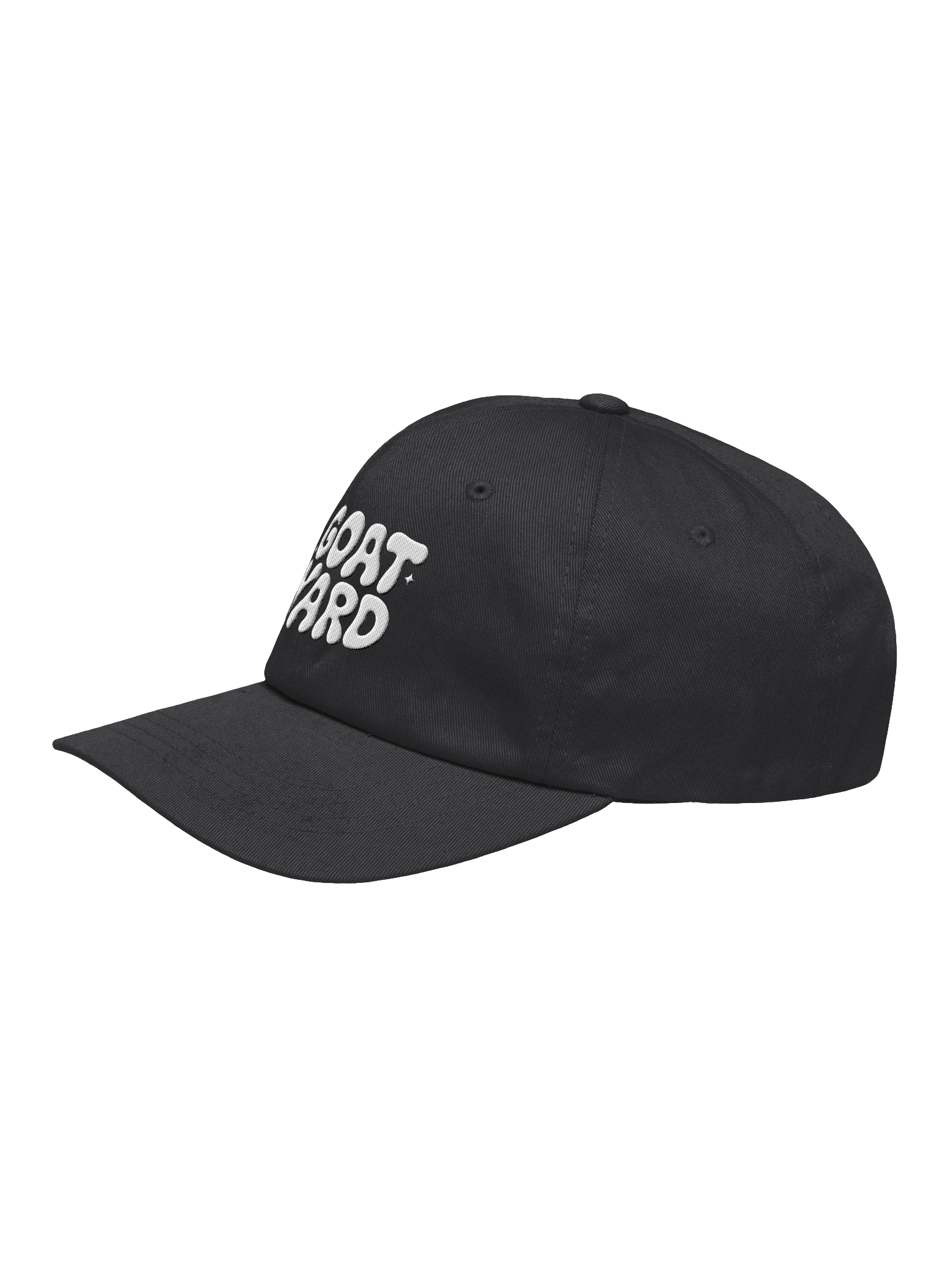 Dad Hat product image (3)
