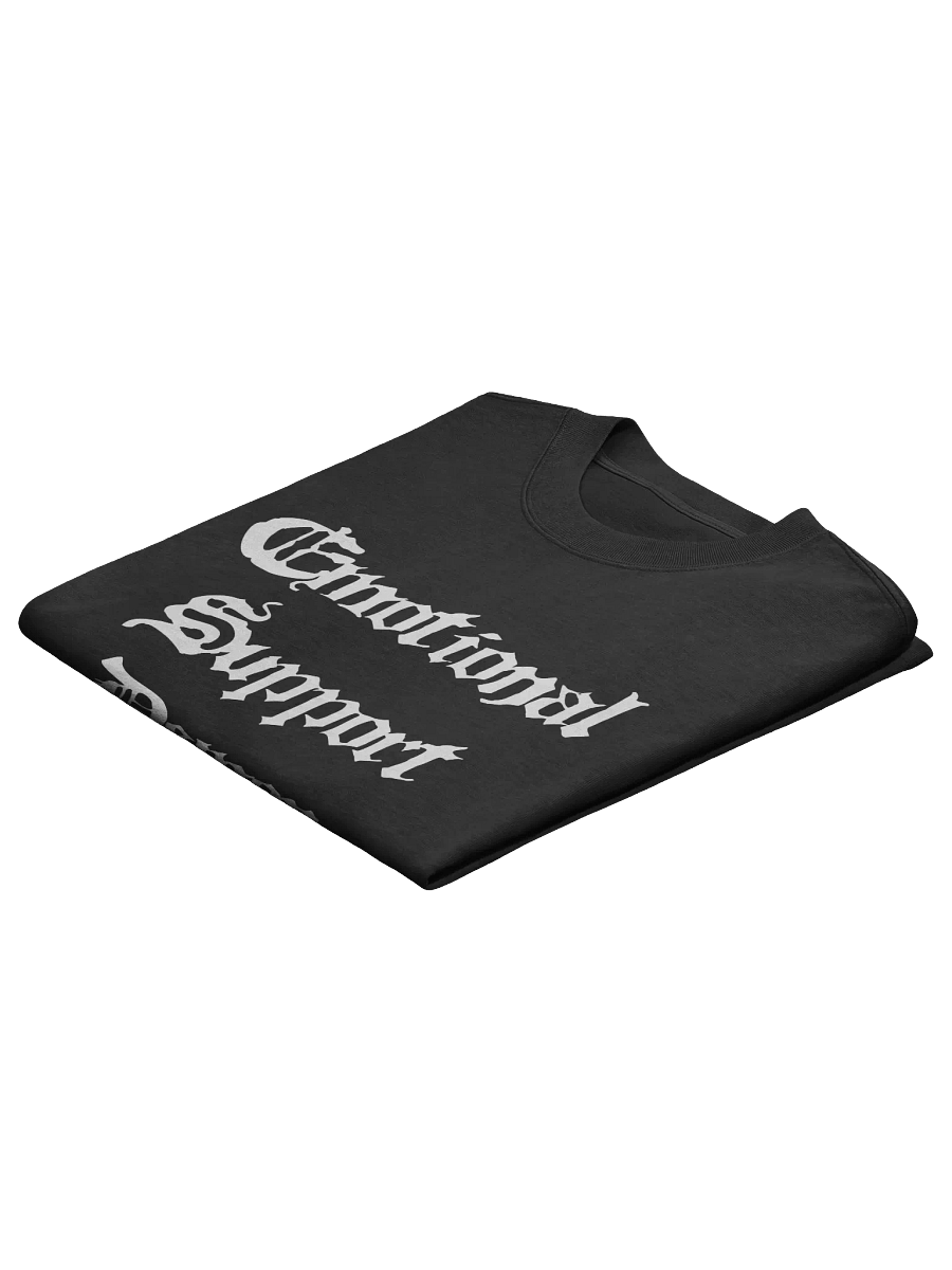 Emotional Support Demon Faded Oversized T shirt product image (4)