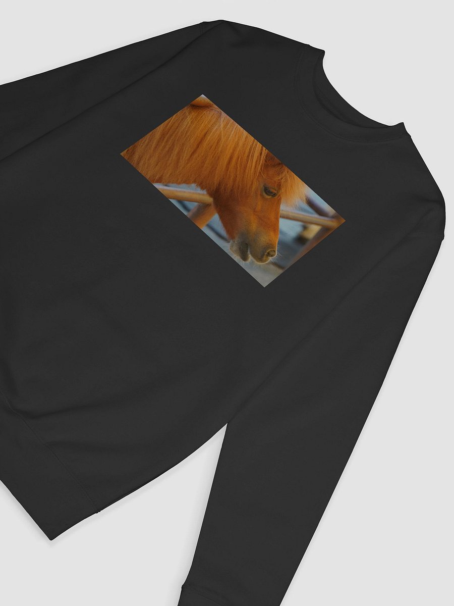 Majestic Mane Premium Sweatshirt product image (6)